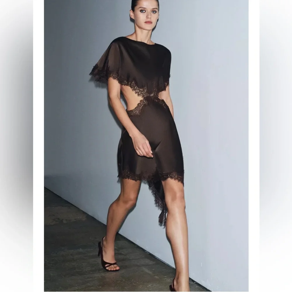 Zara LACE CUT-OUT DRESS ZW COLLECTION BROWN LARGE - Picture 3 of 9